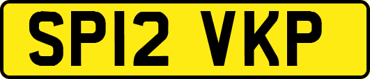 SP12VKP