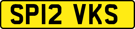 SP12VKS