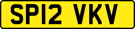 SP12VKV