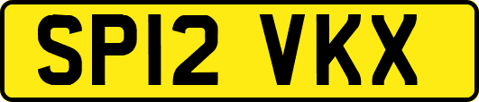 SP12VKX