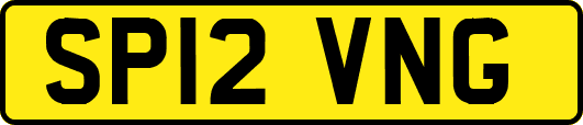 SP12VNG