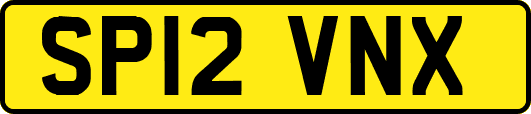 SP12VNX