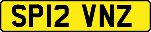 SP12VNZ
