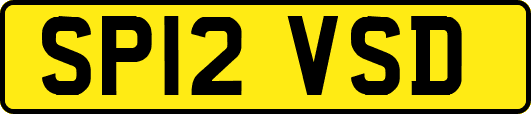SP12VSD