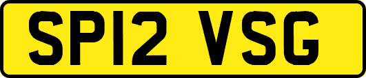 SP12VSG