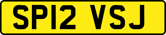 SP12VSJ
