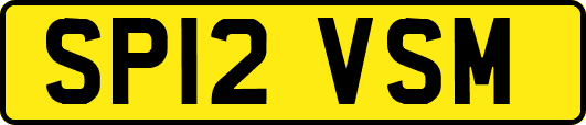 SP12VSM