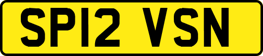 SP12VSN