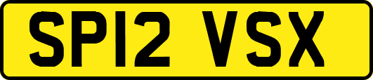 SP12VSX