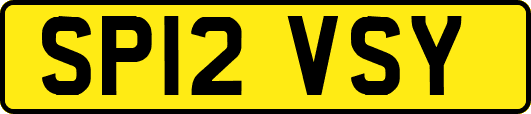SP12VSY