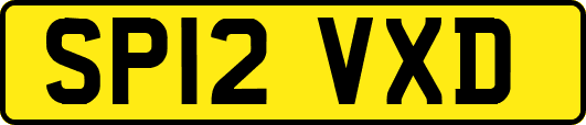 SP12VXD