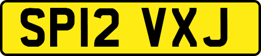 SP12VXJ