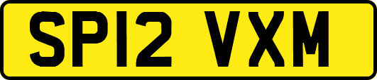 SP12VXM