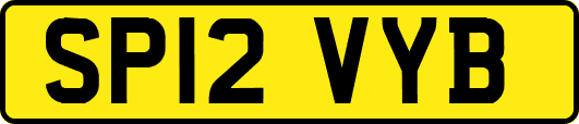 SP12VYB