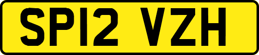 SP12VZH