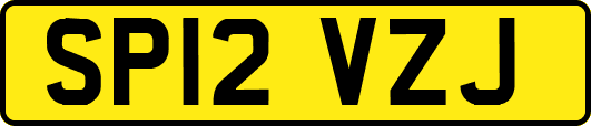 SP12VZJ