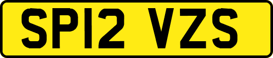 SP12VZS