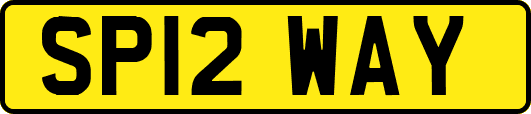 SP12WAY