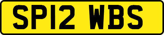 SP12WBS