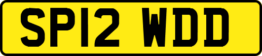 SP12WDD