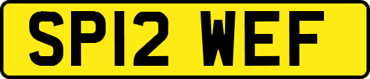 SP12WEF