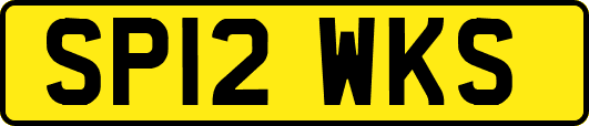 SP12WKS