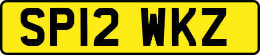 SP12WKZ