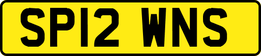 SP12WNS