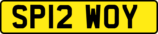 SP12WOY