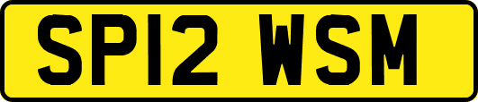 SP12WSM