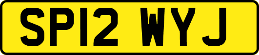 SP12WYJ