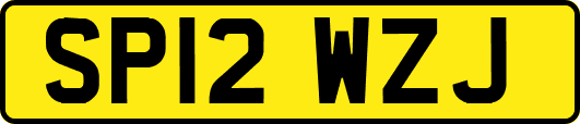 SP12WZJ