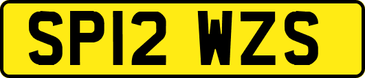 SP12WZS