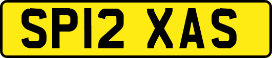 SP12XAS