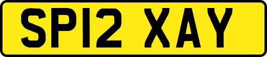 SP12XAY