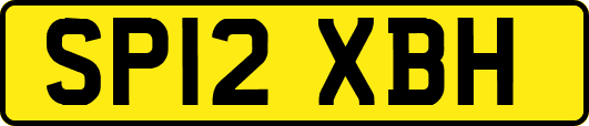 SP12XBH