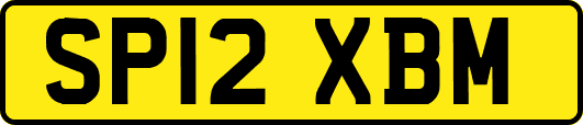 SP12XBM