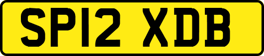 SP12XDB