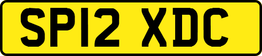 SP12XDC