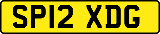 SP12XDG