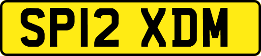 SP12XDM