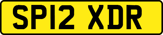 SP12XDR