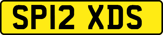 SP12XDS