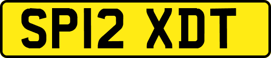 SP12XDT