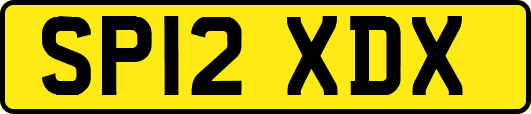 SP12XDX