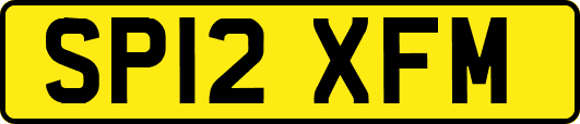 SP12XFM