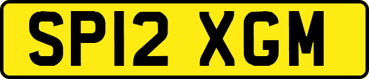SP12XGM