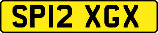 SP12XGX