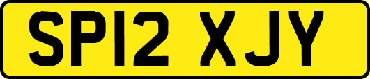 SP12XJY