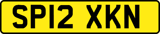 SP12XKN